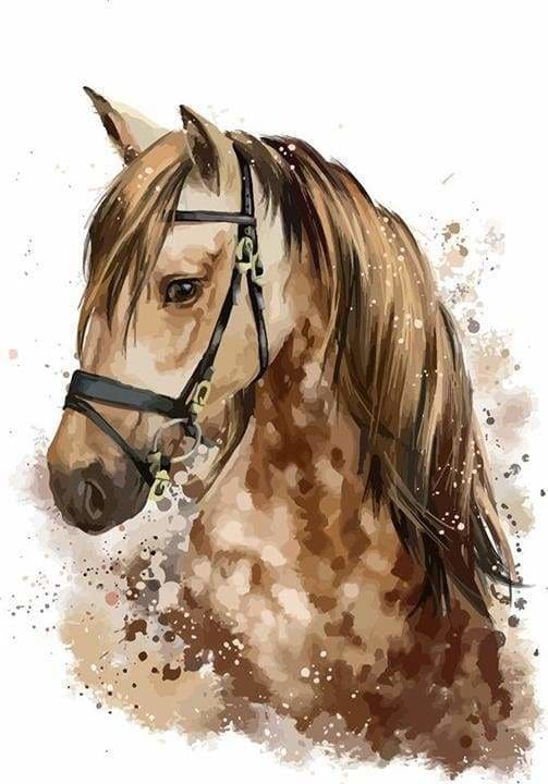 Kit Peinture Par Numéros Brushme 40x50 Cm – Chevaux, Cadre Inclus, Détente Créative - 12