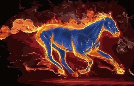 peinture par numéros | Cheval de feu | animaux chevaux intermédiaire | FiguredArt