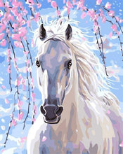 Charger l&#39;image dans la galerie, peinture par numéros | Cheval et Fleurs blanches | animaux chevaux facile | FiguredArt