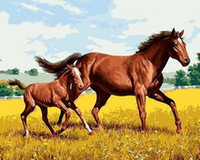 Charger l&#39;image dans la galerie, peinture par numéros | Cheval et son petit | animaux chevaux facile | FiguredArt