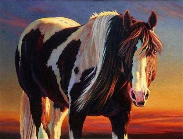 peinture par numéros | Cheval marron et blanc | animaux chevaux complexe | FiguredArt