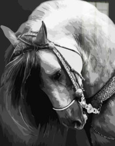 peinture par numéros | Cheval Tête baissée | animaux chevaux intermédiaire | FiguredArt