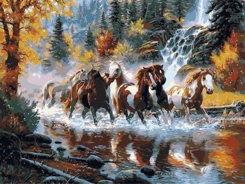 peinture par numéros | Chevaux au Galop | animaux chevaux complexe | FiguredArt