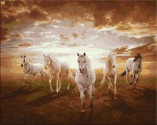 Charger l&#39;image dans la galerie, peinture par numéros | Chevaux blancs galopant | animaux chevaux complexe | FiguredArt