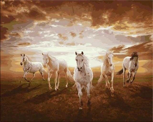 peinture par numéros | Chevaux blancs galopant | animaux chevaux complexe | FiguredArt