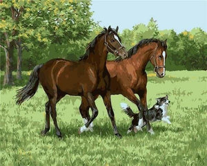 peinture par numéros | Chevaux et Chiens dans la Prairie | animaux chevaux chiens intermédiaire | FiguredArt