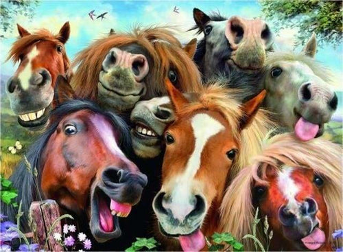 peinture par numéros | Chevaux moqueurs | animaux chevaux complexe | FiguredArt