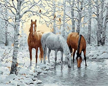 Charger l&#39;image dans la galerie, peinture par numéros | Chevaux se désaltérant | animaux chevaux intermédiaire paysages | FiguredArt