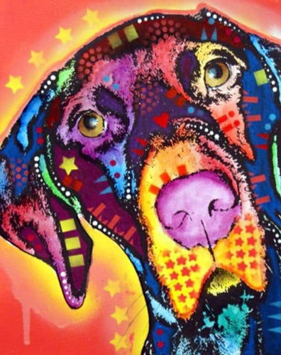 peinture par numéros | Chien et étoiles | animaux chiens complexe Pop Art | FiguredArt