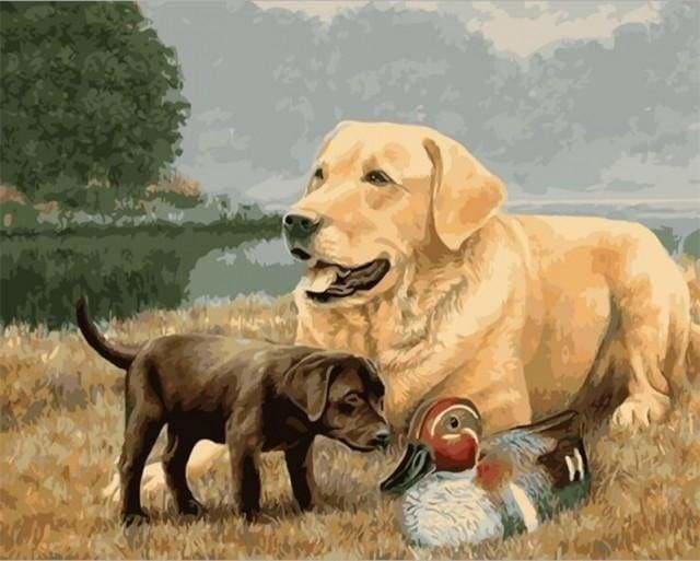 Kit Peinture Chien Peinture Par Numéros Golden Retriever - Kit Complet Toile 40x50cm - Loisir Créatif Adulte Kit Peinture Adulte DIY