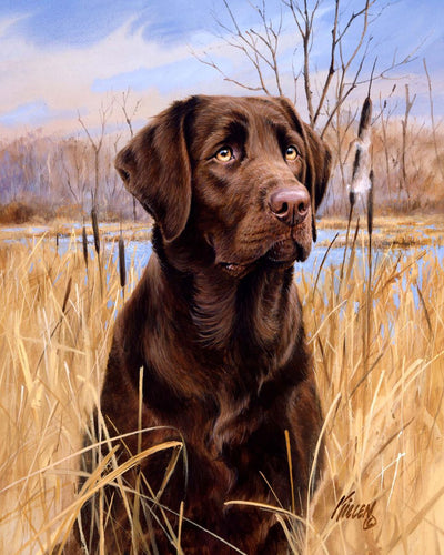 Peinture par numéros Chien Labrador | Figured'Art facile animaux chiens nouveautés