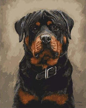 Charger l&#39;image dans la galerie, peinture par numéros | Chien noir et marron | animaux chiens intermédiaire | FiguredArt