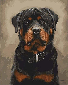 peinture par numéros | Chien noir et marron | animaux chiens intermédiaire | FiguredArt