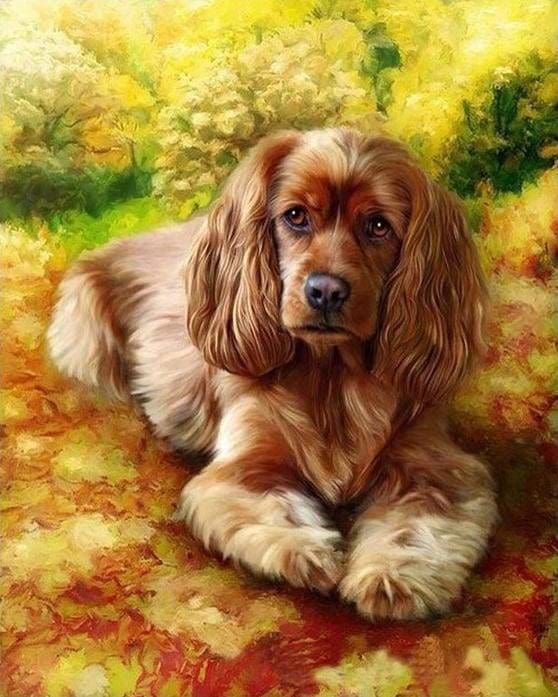 peinture par numéros | Chiot Golden Retriever | animaux chiens complexe | FiguredArt