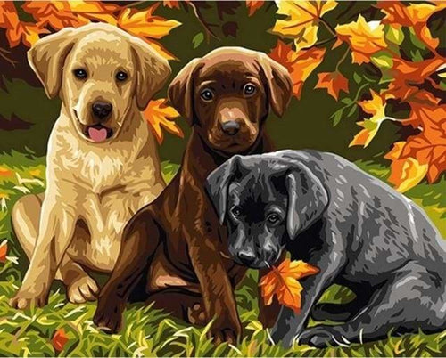 peinture par numéros | Chiots et Feuilles dAutomne | animaux chiens intermédiaire | FiguredArt