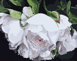 peinture par numéros | Coeur de Roses blanches | facile fleurs | FiguredArt