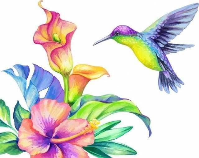 peinture par numéros | Colibri et Fleurs | animaux facile fleurs | FiguredArt