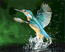 Charger l&#39;image dans la galerie, peinture par numéros | Colibri prenant son envol | nouveautés animaux oiseaux facile | FiguredArt