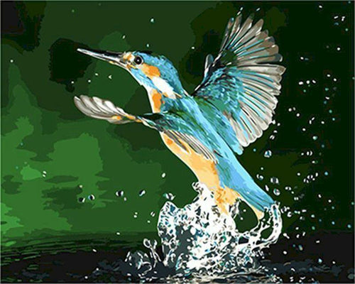 peinture par numéros | Colibri prenant son envol | nouveautés animaux oiseaux facile | FiguredArt