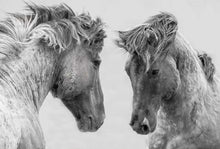 Charger l&#39;image dans la galerie, peinture par numéros | Confrontation deux Chevaux | animaux chevaux complexe | FiguredArt