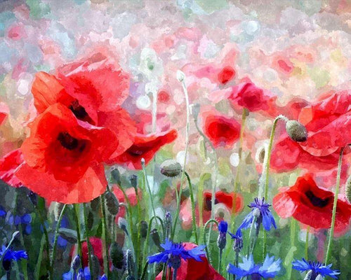 peinture par numéros | Coquelicots et Bleuets | nouveautés fleurs intermédiaire | FiguredArt