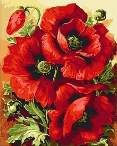 peinture par numéros | Coquelicots | fleurs intermédiaire | FiguredArt