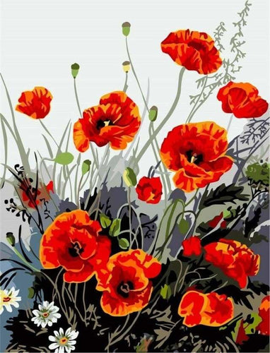 peinture par numéros | Coquelicots rouges | facile fleurs | FiguredArt