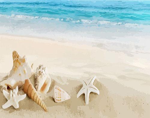 peinture par numéros | Coquillages sur la Plage | Intermédiaire, paysages | FiguredArt