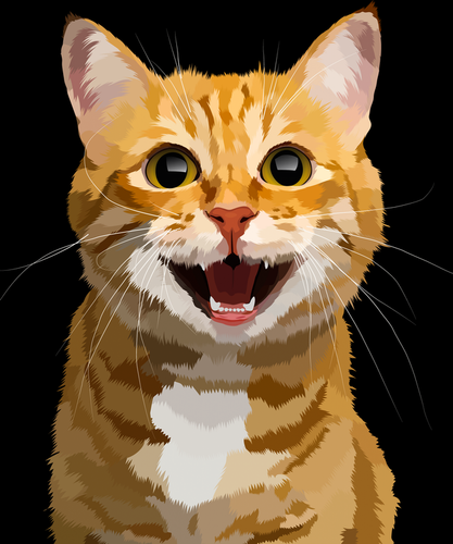 peinture par numéros | Coucou le Chat | animaux, chats, Facile | FiguredArt