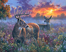 Charger l&#39;image dans la galerie, Peinture par numéros Couple de cerfs | Figured&#39;Art complexe paysages animaux rennes et biches nouveautés