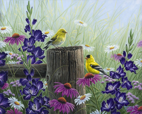 Peinture par numéros Couple de Chardonneret | Figured'Art intermédiaire animaux oiseaux fleurs nouveautés