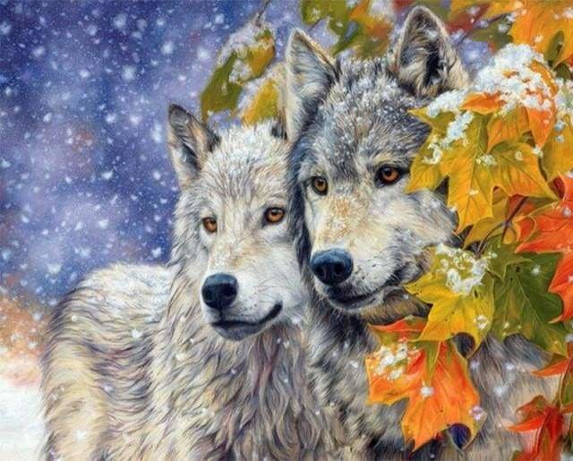 peinture par numéros | Couple de Loups 2 | animaux complexe loups | FiguredArt
