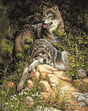 Charger l&#39;image dans la galerie, peinture par numéros | Couple de Loups 3 | animaux intermédiaire loups | FiguredArt