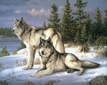 Charger l&#39;image dans la galerie, Peinture par numéros Couple de Loups | Figured&#39;Art intermédiaire animaux loups nouveautés