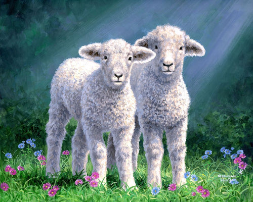 Peinture par numéros Couple de moutons | Figured'Art intermédiaire animaux moutons nouveautés