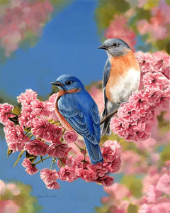 Peinture par numéros Couple d'oiseaux bleus | Figured'Art facile animaux oiseaux nouveautés