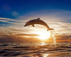 peinture par numéros | Dauphin et Lever du Soleil | animaux complexe dauphins paysages | FiguredArt