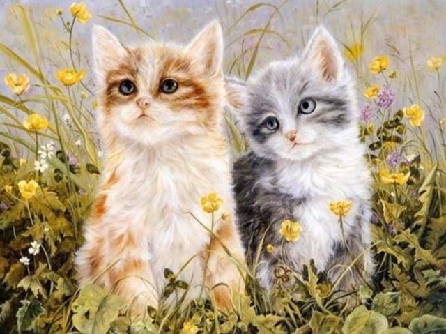 peinture par numéros | Deux Chatons | animaux chats facile | FiguredArt