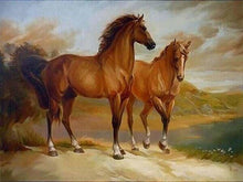 Charger l&#39;image dans la galerie, peinture par numéros | Deux Chevaux près de lEau | animaux chevaux complexe | FiguredArt