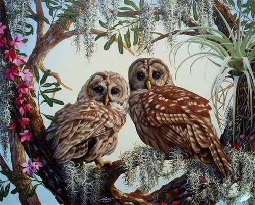 peinture par numéros | Deux Chouettes sur une Branche fleurie | animaux chouettes et hiboux complexe | FiguredArt