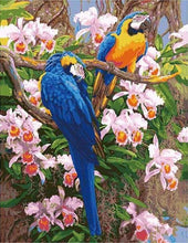 Charger l&#39;image dans la galerie, peinture par numéros | Deux Perroquets perchés | animaux complexe oiseaux perroquets | FiguredArt