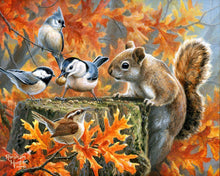 Charger l&#39;image dans la galerie, Peinture par numéros Ecureuil espiègle | Figured&#39;Art intermédiaire animaux oiseaux fleurs écureuils nouveautés
