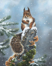 Charger l&#39;image dans la galerie, Peinture par numéros Ecureuil perché | Figured&#39;Art intermédiaire animaux écureuils nouveautés