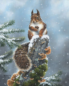 Peinture par numéros Ecureuil perché | Figured'Art intermédiaire animaux écureuils nouveautés