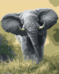 peinture par numéros | Eléphant dAfrique | animaux facile éléphants | FiguredArt