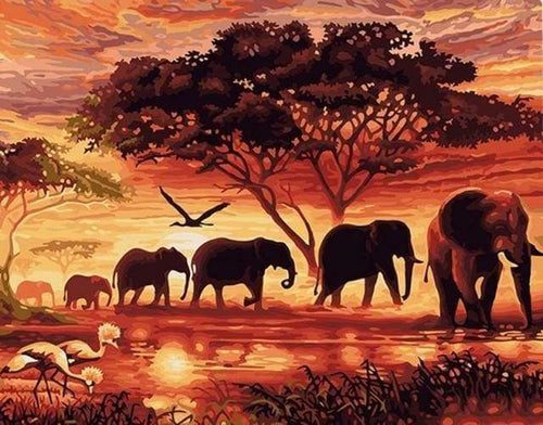 peinture par numéros | Eléphants au Coucher du soleil | animaux intermédiaire éléphants | FiguredArt