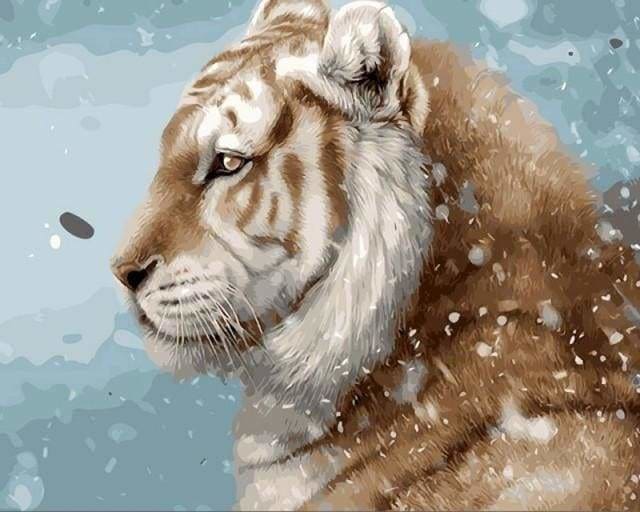 peinture par numéros | En regardant la neige | animaux intermédiaire tigres | FiguredArt