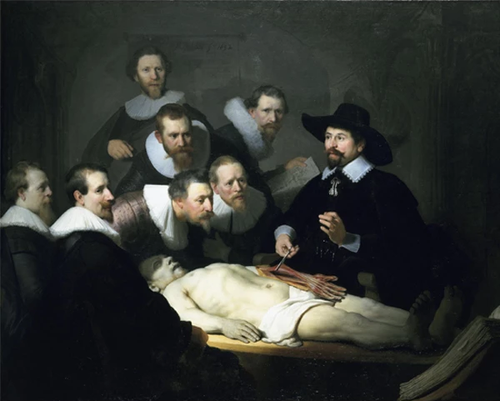 peinture par numéros | Etude du corps humain | Complexe, portrait, reproduction | FiguredArt