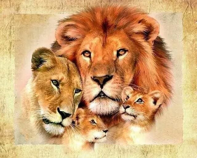 peinture par numéros | Famille Lion | animaux complexe lions | FiguredArt