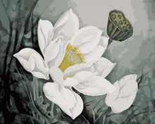 Charger l&#39;image dans la galerie, peinture par numéros | Fleur de Lotus blanc | facile fleurs | FiguredArt